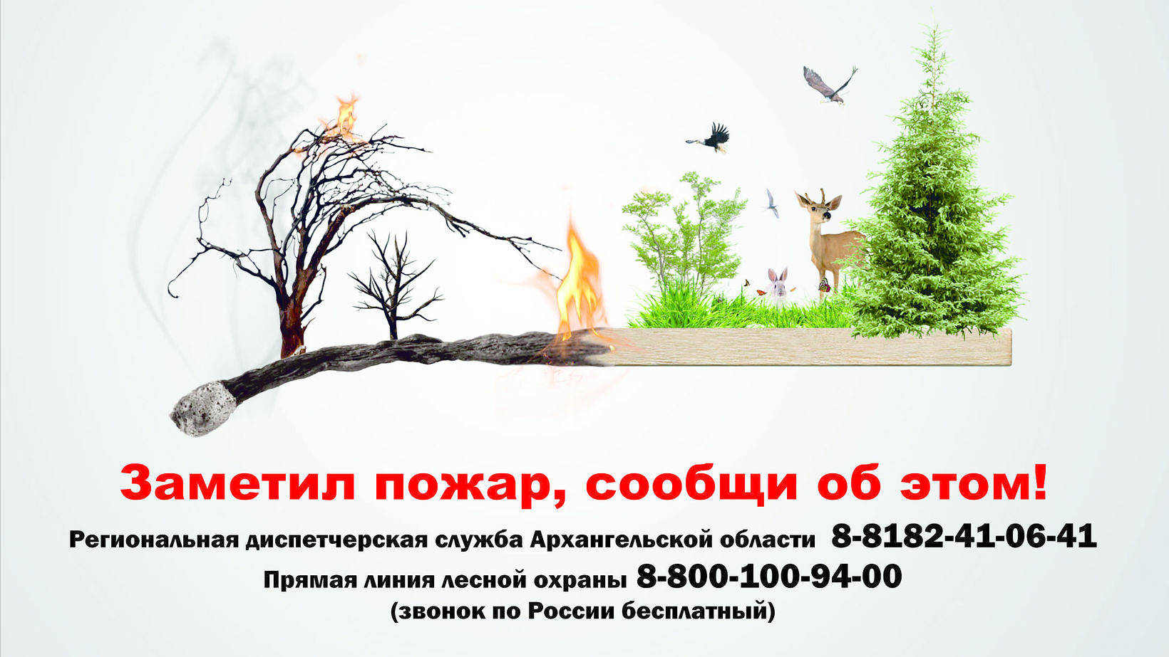 Песня берегите лес. Берегите лес. Плакат Лесные пожары. Береги лес от пожара. Защитим леса от пожаров.